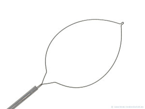 Disposable polypectomy snare, oval (Disposable polypectomy snare, oval) © www.fendo-medizintechnik.de